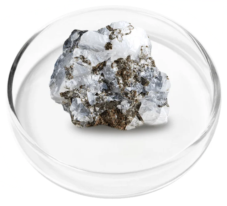 Vertigenics ingredient 1
