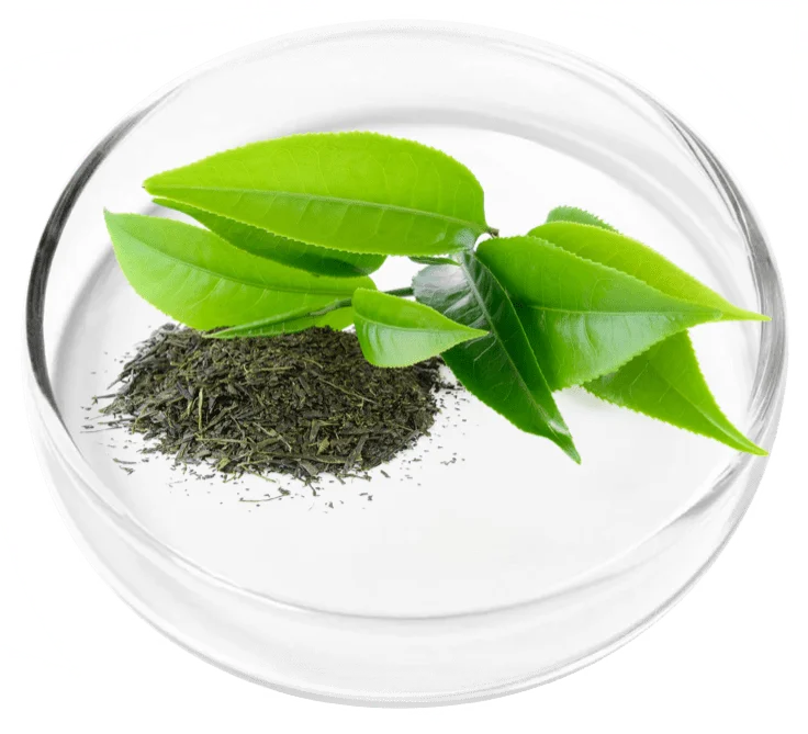 Vertigenics ingredient 4