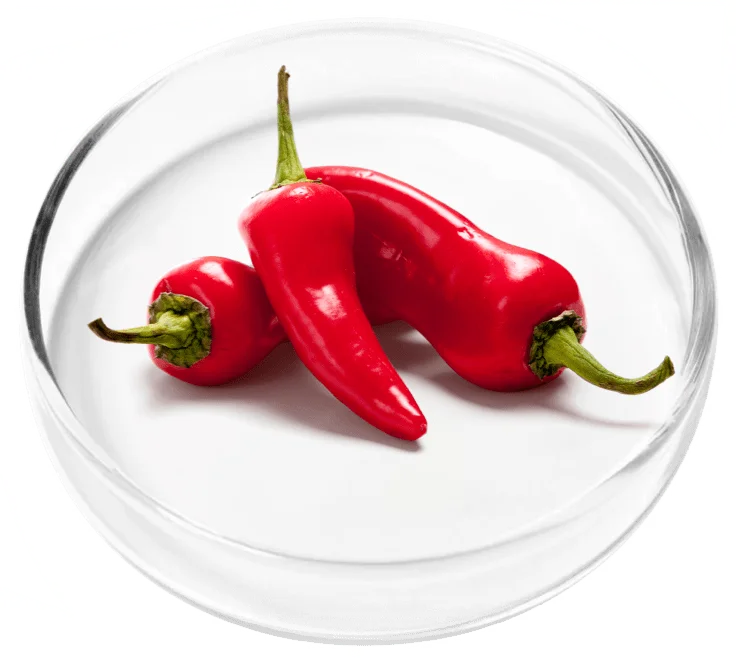 Vertigenics ingredient 8